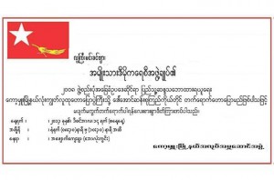 NLD invitation letter