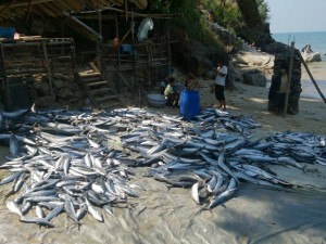 ဓာတ္ပံု - ေက်ာ္ေက်ာ္သက္ ေဖ့ဘုတ္