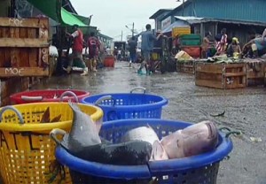 export fish
