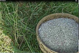 Fertilizer2 copy