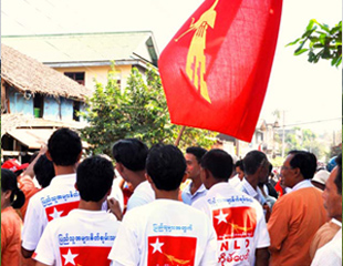 nld flag