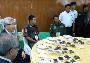 ေကအုိင္အုိနဲ႔ အစုိးရအၾကား ျပည္ေထာင္စုအဆင့္ ျငိမ္းခ်မ္းေရး   ေဆြးေႏြးပြဲကို ၂၀၁၃ ခုႏွစ္ ေအာက္တိုဘာလက ျမစ္ႀကီးနားၿမိဳ႕တြင္ က်င္းပစဥ္
