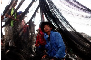 မဟာချုိင်ေဒသ ပင်လယ်ငါးဖန်းလုပ်ငန်းခွင်တခုတွင် ေတွ့ရသည့် ြမန်မာအလုပ်သမားအချုိ့ (ဓာတ်ပုံ - ရုိက်တာ)