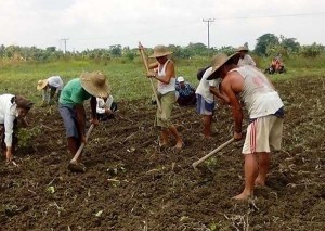 ဓာတ္ပံု - ကိုဟန္၀င္းေအာင္