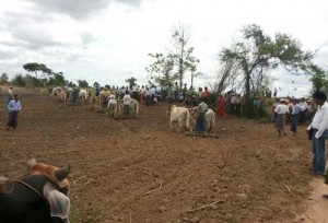 image-112333437457aa3544f3484dce641ae15c27f76ab9d292374b1cf6cbbb7799e6-V