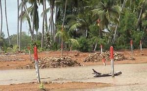 Chaung Tar copy