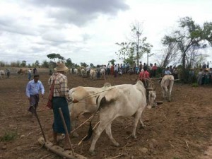 ကန္႔ဘလူ လယ္သမားမ်ား ထြန္တံုးတိုက္ပဲြ ဆင္ႏႊဲစဥ္က