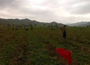 ဓာတ္ပံု - ကိုဟန္၀င္းေအာင္