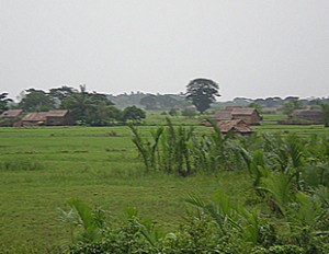 farmer
