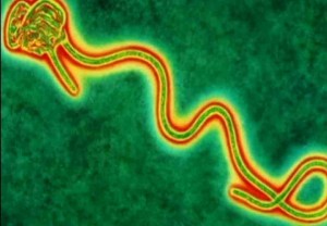 Ebola Virus