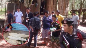 ဓာတ္ပုံ - thairath.co.th