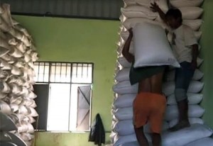 Rice 2