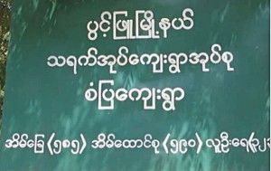 pwint phyu copy