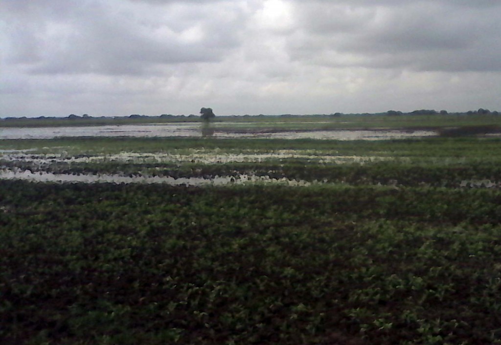 Farm