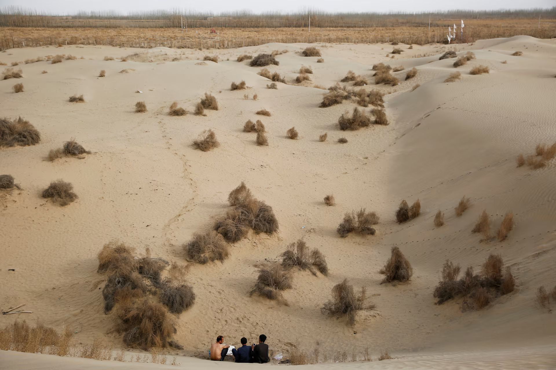 Photo: REUTERS/Thomas Peter/File Photo