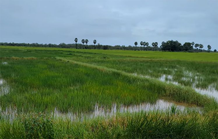 Photo : ဒေသခံ
