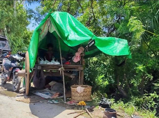 စစ်ကိုင်းတိုင်းက စစ်ဘေးရှောင်စခန်းများတွင် အယ်လ်နီညိုကြောင့် ဖျားနာသူများ ရှိလာ