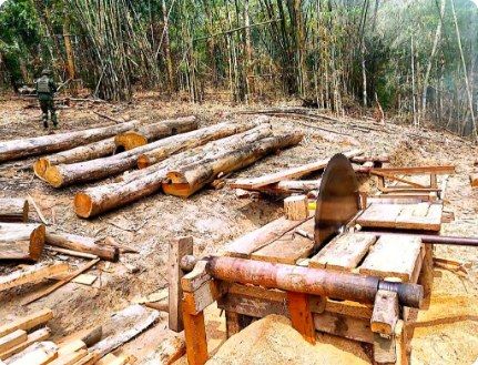 စစ်ကိုင်းနှင့် မကွေးတွင် တရားမဝင်သစ်များကို  NUG ဖမ်းဆီး