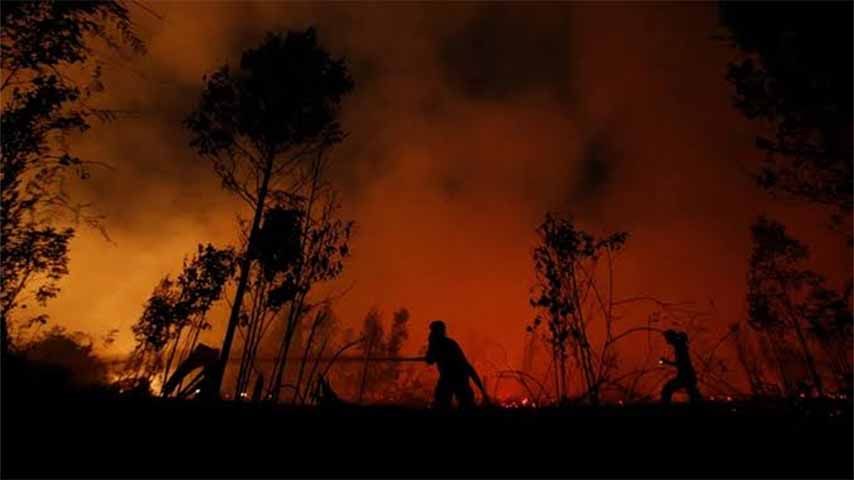 အင်ဒိုနီးရှားတွင် တောမီးလောင်