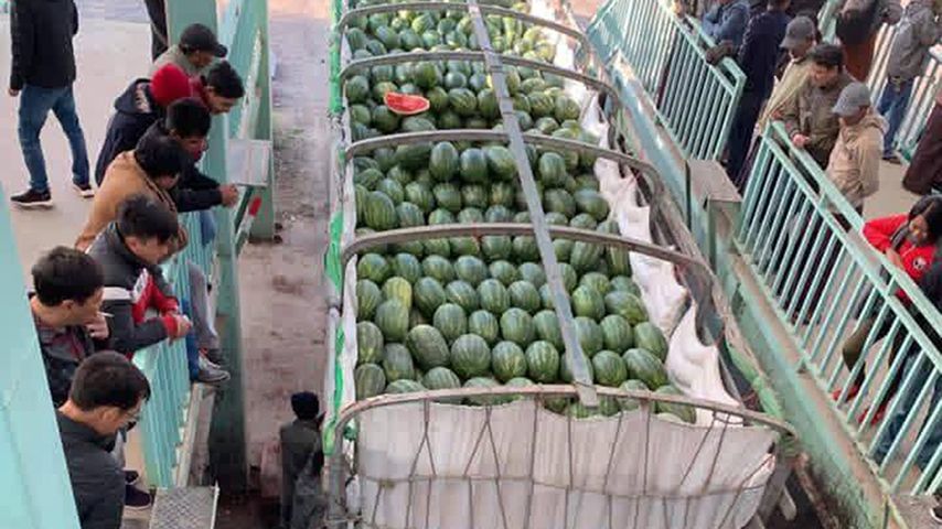 ဖရဲ–သခွား တောင်သူများ စံချိန်တင်အရှုံးပေါ်