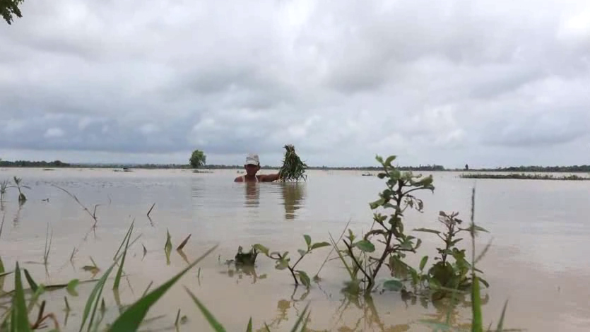 သဲကုန္းၿမိဳ႕နယ္တြင္း ေရႀကီးမႈေၾကာင့္ သီးႏွံမ်ား ပ်က္စီး