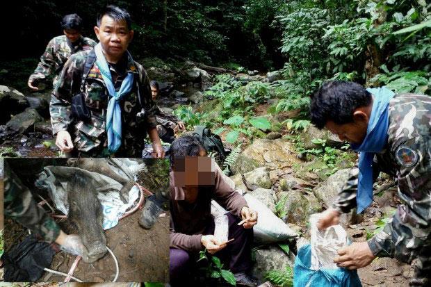 ထိုင္းေဘးမဲ့ေတာအတြင္းမွ ေတာ႐ိုင္းတိရစၦာန္ ဖမ္းဆီးသူ ထိုင္းကရင္မုဆိုး ၂ ဦးကို ဖမ္းမိ