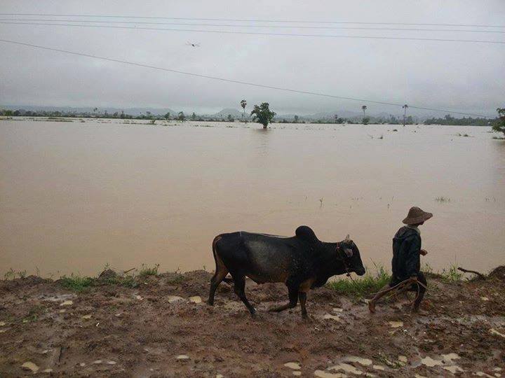 စစ္ကိုင္းတိုင္း ေရႀကီး (ဓာတ္ပုံ)