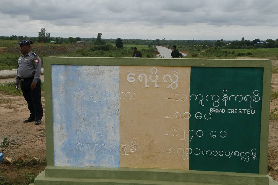 ကၽြန္းလွတြင္ မုိးရက္ဆက္ရြာမႈေၾကာင့္ ဆည္ေရတုိး၊ စုိက္ခင္းအခ်ဳိ႕ပ်က္စီး (ဓာတ္ပုံ)