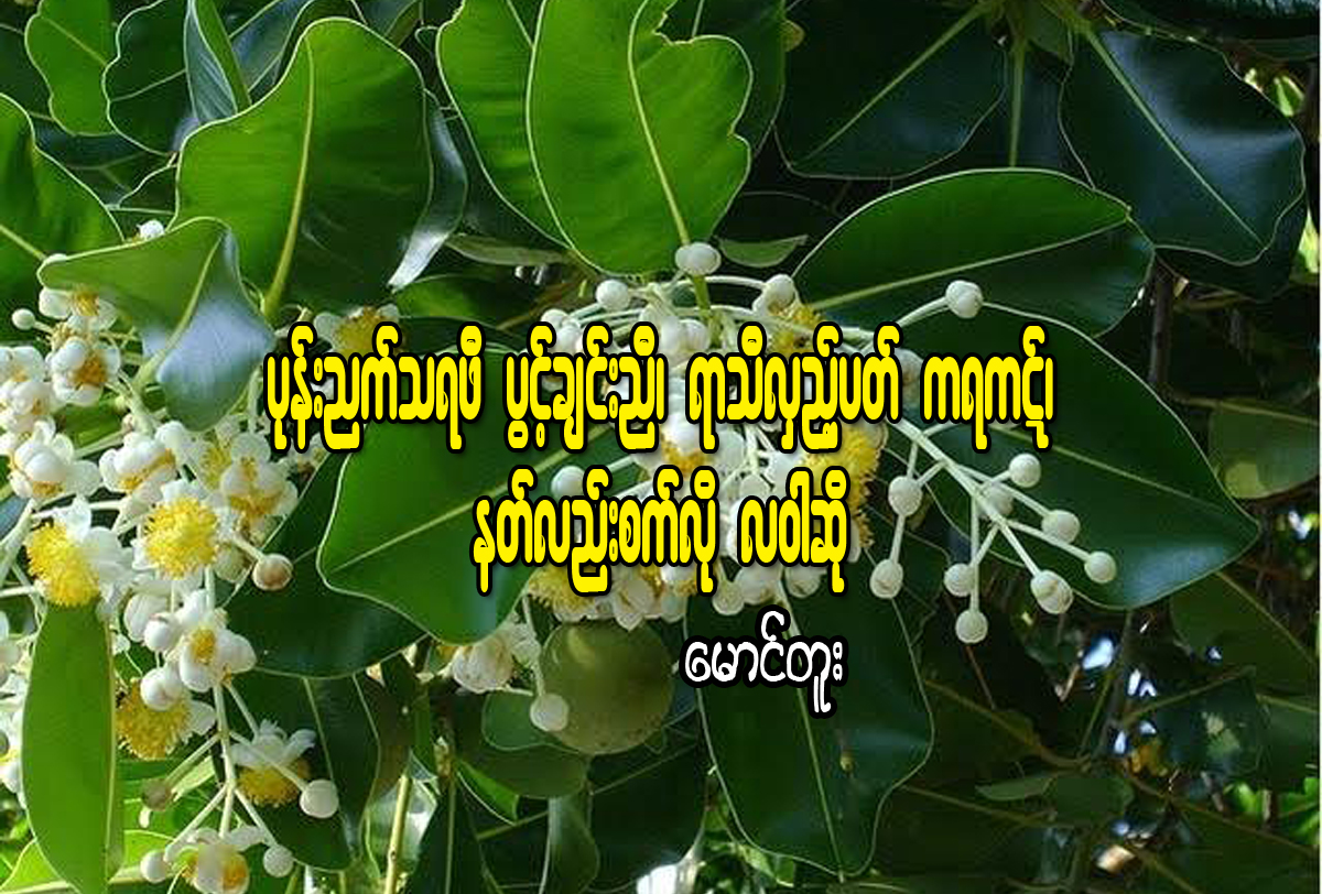 ပုန္းညက္သရဖီ ပြင့္ခ်င္းညီ၊ ရာသီလွည့္ပတ္ ကရကဋ္၊  နတ္လည္းစက္လို လ၀ါဆို