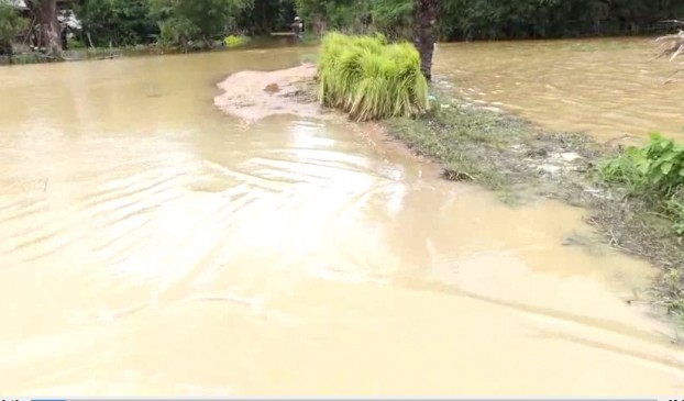 ႏုိင္ငံတ၀န္း ေရႀကီး ေရလွ်ံမႈေၾကာင့္ သီးႏွံစိုက္ဧက သံုးေသာင္းေက်ာ္ ထိခိုက္