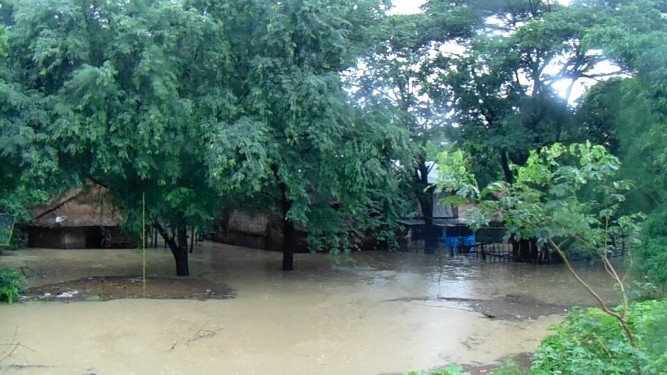 ႀကိဳ႕ပင္ေကာက္ တြင္ ေရႀကီးမႈေၾကာင့္ စုိက္ဧက ၃ ေထာင္ေက်ာ္ နစ္ျမဳပ္ (ဓာတ္ပုံ)