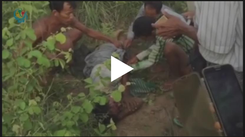 ေတာဆင္႐ိုင္း ရန္ျပဳမႈေၾကာင့္ ေညာင္ဦးေဒသခံ ၁ ဦးေသဆံုး (႐ုပ္သံ)