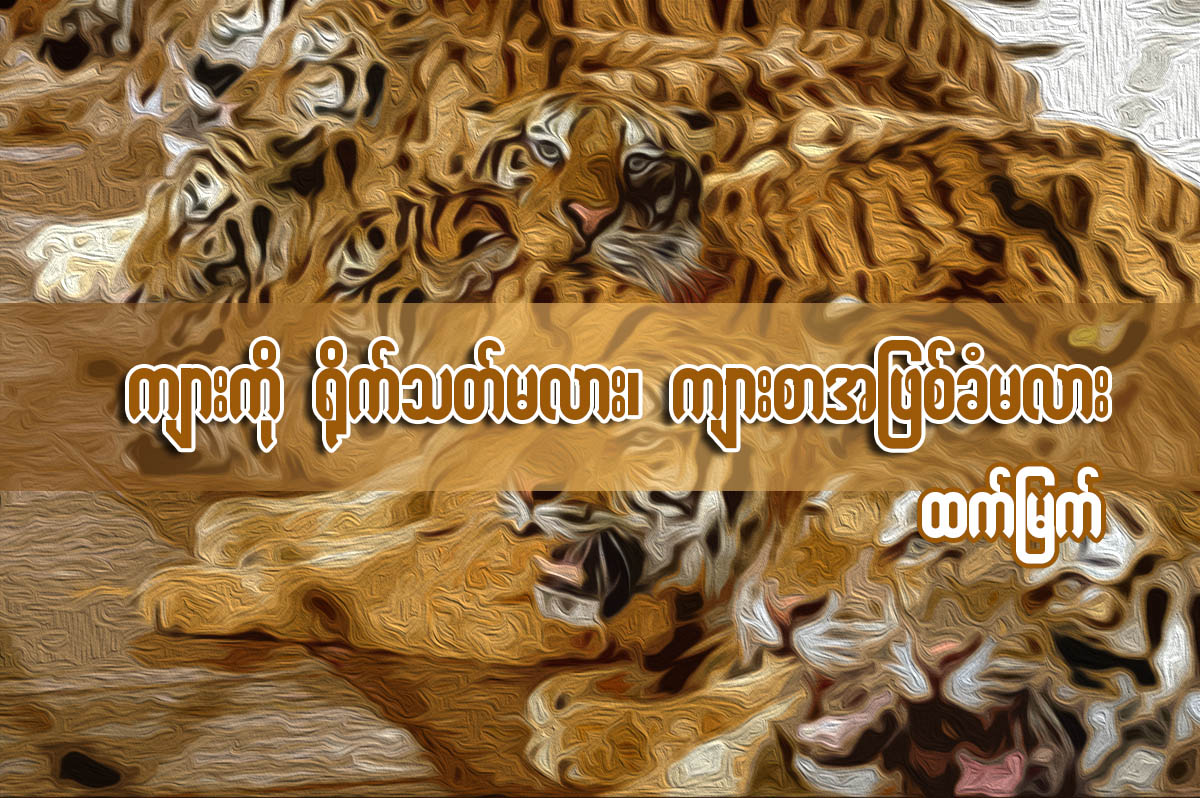 က်ားကို ႐ုိက္သတ္မလား၊ က်ားစာအျဖစ္ ခံမလား