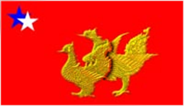 အမ်ဳိးသမီးပါတီ (မြန္) မဲဆြယ္စည္း႐ုံးမႈ စတင္
