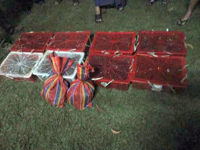 မိုင္းလားပုိ႔မည့္ ၾကက္တူေရြးလိပ္ႏွင့္ သင္းေခြခ်ပ္မ်ား ဖမ္းမိ
