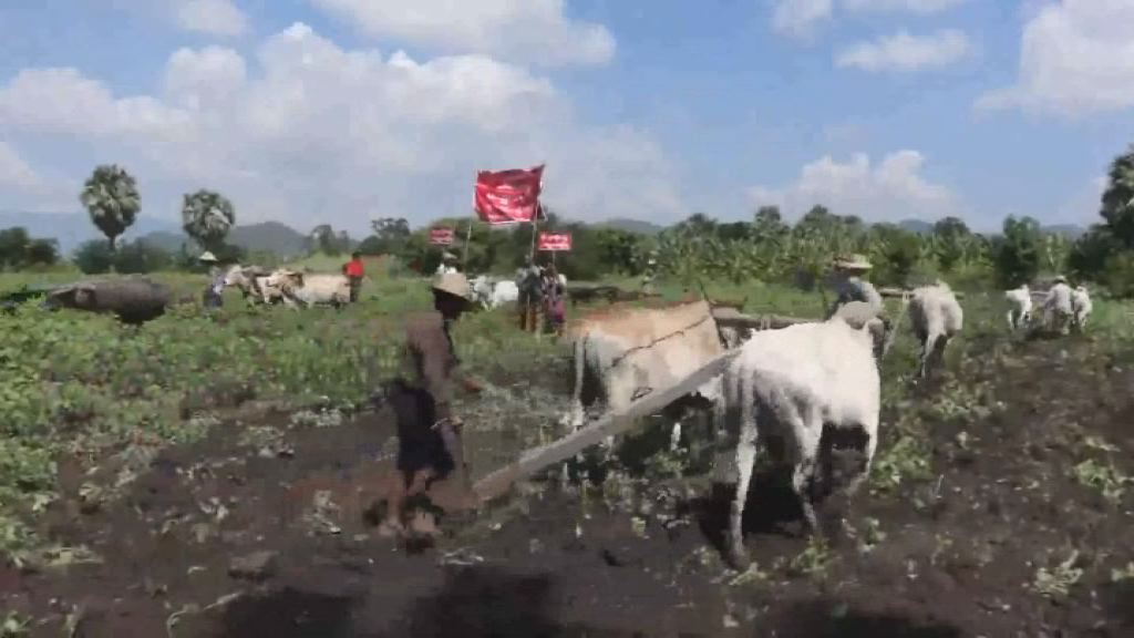 ဘိုးဘြားပိုင္လယ္ယာေျမ ျပန္လည္ရရွိေရး ေတာင္သူမ်ား ထြန္တံုးတိုက္ပဲြ ဆင္ႏဲႊ