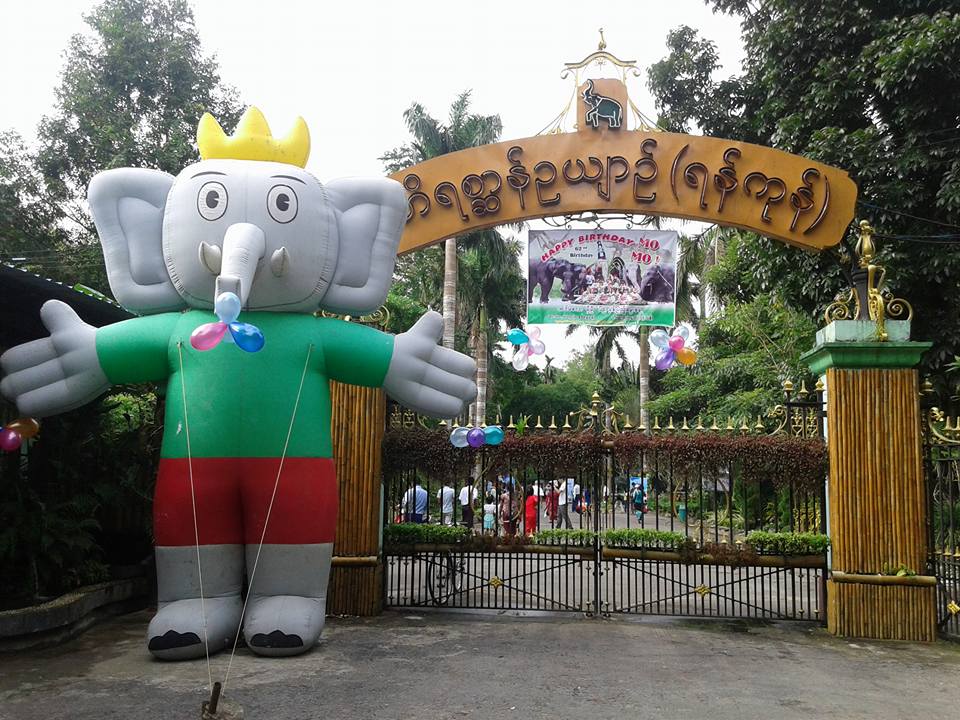 ႏွစ္ ၆၀ ျပည့္ ျမန္မာ-ဂ်ပန္ ခ်စ္ၾကည္ေရး ရွားပါးတိရစာၦန္မ်ား လဲလွယ္မည္