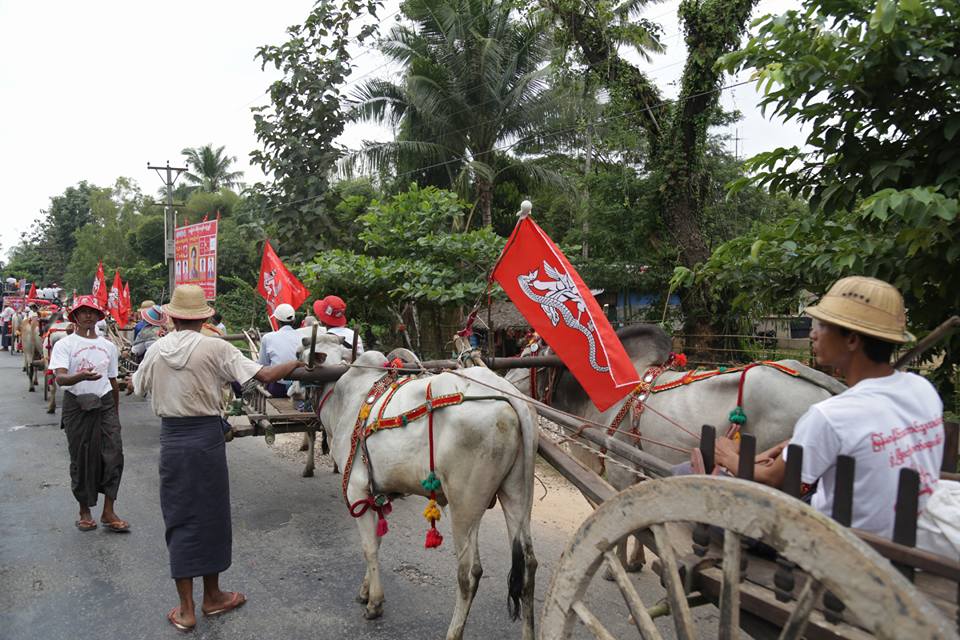 ေတာင္သူလယ္သမား ဖြံ႔ၿဖိဳးတုိးတက္ေရးပါတီ ႏြားလွည္းျဖင့္ မဲဆြယ္ (ဓာတ္ပုံ)