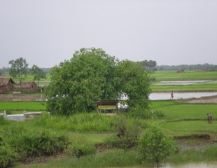 ေၾကးနီစီမံကိန္းအတြက္ လယ္သိမ္း၊ လယ္သမားမ်ား မေက်နပ္