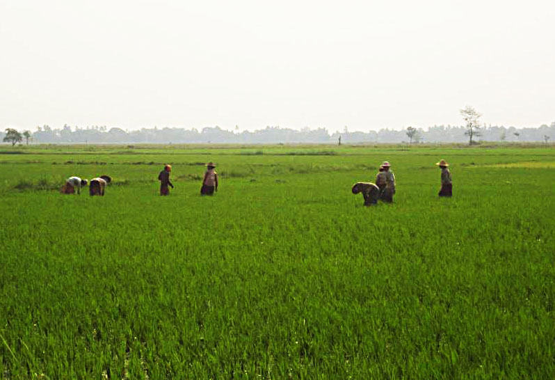 အစိုးရက ျပန္လည္ေပးအပ္ၿပီး သိမ္းဆည္းေျမဧက ၃ သိန္းခြဲေက်ာ္ရွိၿပီ