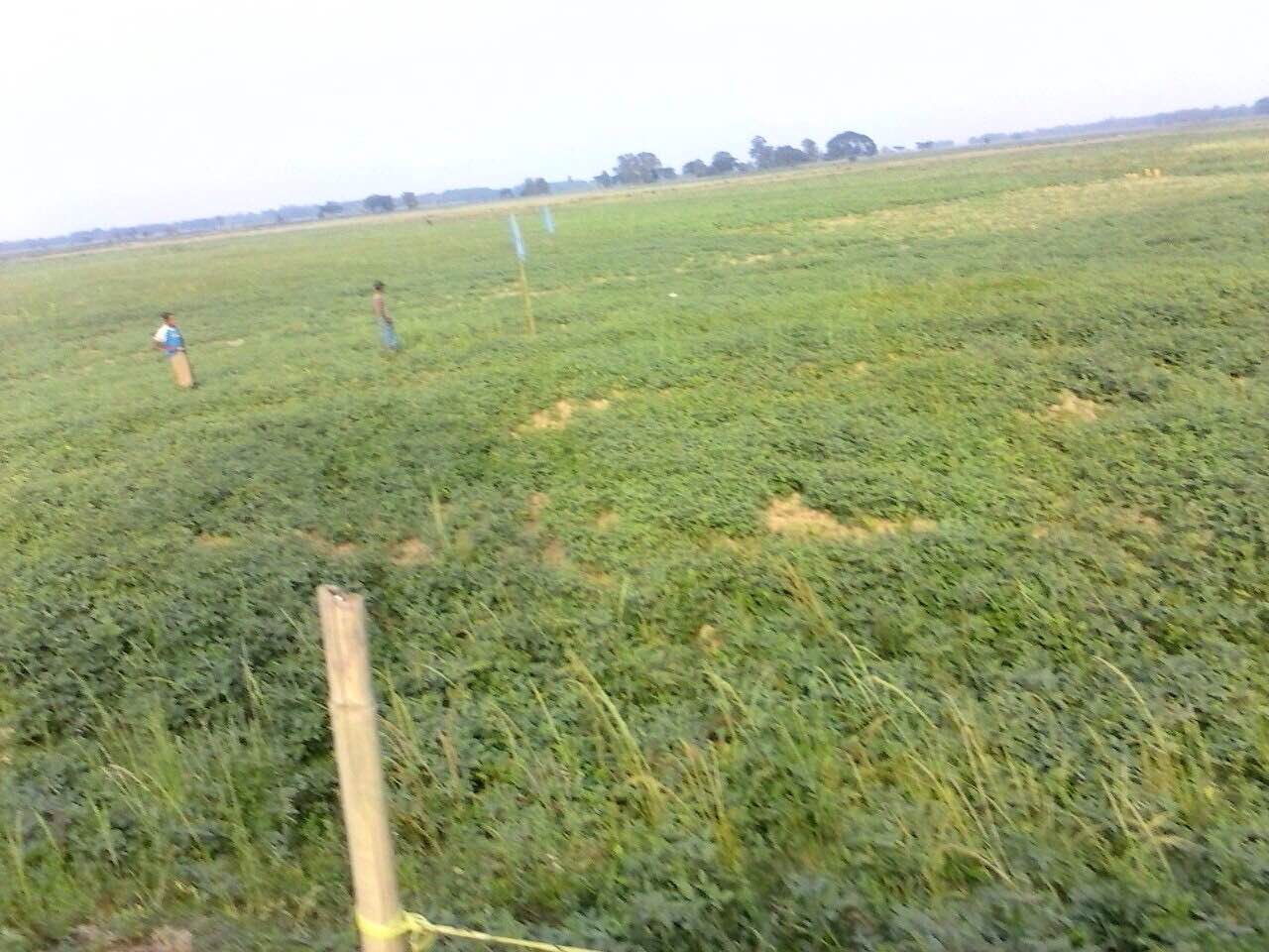 တာအသစ္ေဆာက္ရန္ ကိုင္းေျမမ်ားတြင္ အမွတ္အသားျပဳလုပ္မႈ ေတာင္သူမ်ားစိုးရိမ္
