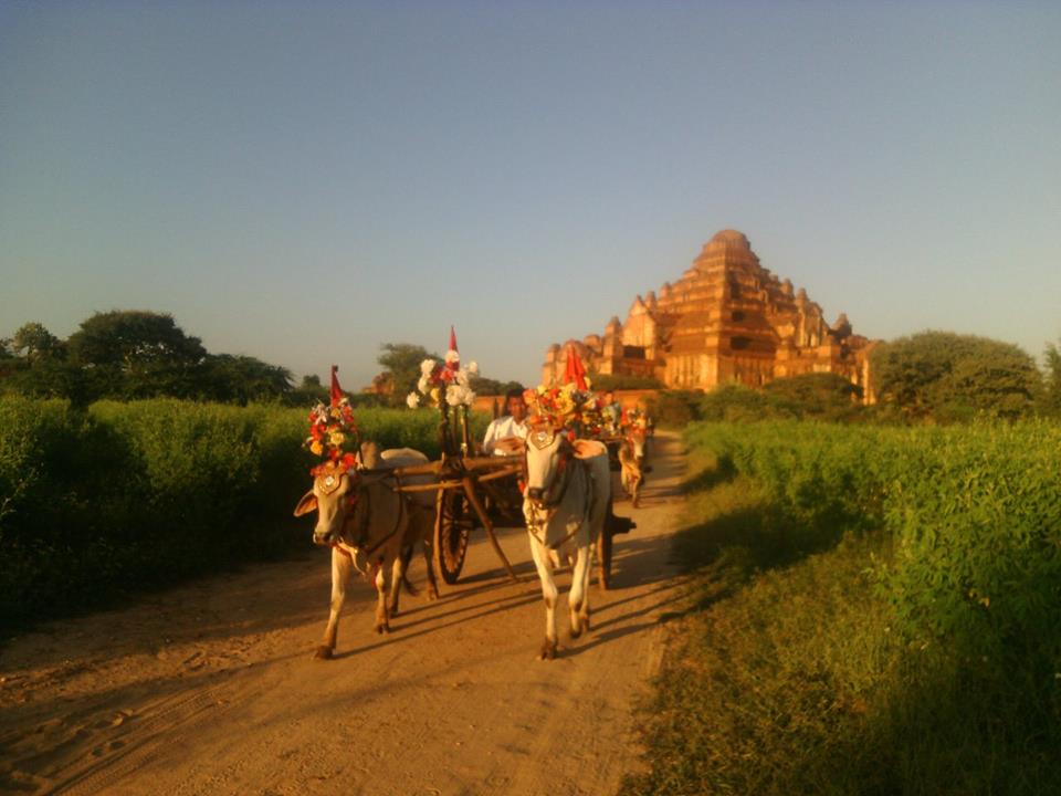 ပုဂံ နန္းၾကည့္ကုန္းေပၚရွိ ေနအိမ္မ်ား ၉ ရက္အတြင္း ဖယ္ရွားမေပးရင္ အေရးယူမည္