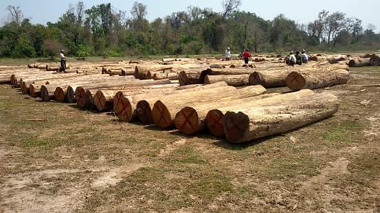 ၂၀၁၅ ခုႏွစ္ စစ္ကုိင္းတုိင္းအတြင္း တရားမ၀င္ သစ္တန္ခ်ိန္ ၈၀၀ ေက်ာ္ ဖမ္းမိ