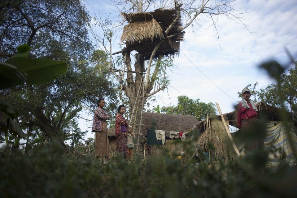 ေတာဆင္႐ုိင္းမ်ား က်ဴးေက်ာ္မႈေၾကာင့္ တိုက္ႀကီးတြင္ ရြာသားမ်ား သစ္ပင္ေပၚတြင္ ေနထိုင္ၾကရ