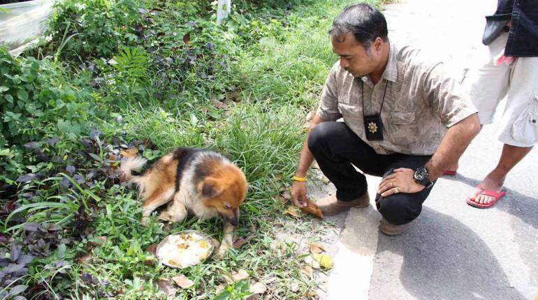 သခင့္အႀကိဳကို ၇ လေက်ာ္သည့္အထိ ေစာင့္ေမွ်ာ္ခဲ့ေသာ ေခြးကေလး (႐ုပ္သံ)