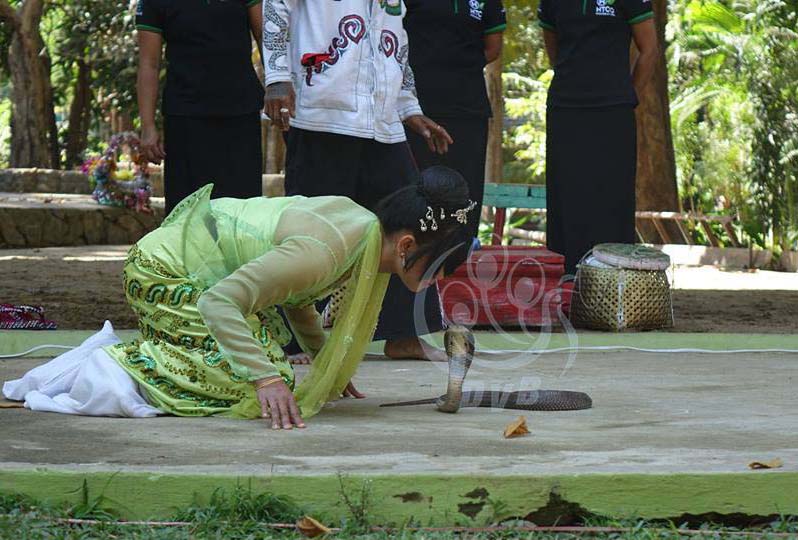 ရန္ကုန္တိရစၦာန္ဥယ်ာဥ္ ႏွစ္ ၁၁၀ ျပည့္ပဲြေတာ္ ၃ ရက္ၾကာ က်င္းပေန (ဓာတ္ပံု)