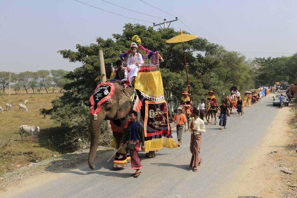 အထက္ျမန္မာျပည္က ဆင္နဲ႔လွည့္တဲ့ ရွင္ေလာင္းပြဲ  (သတင္းဓာတ္ပံု)