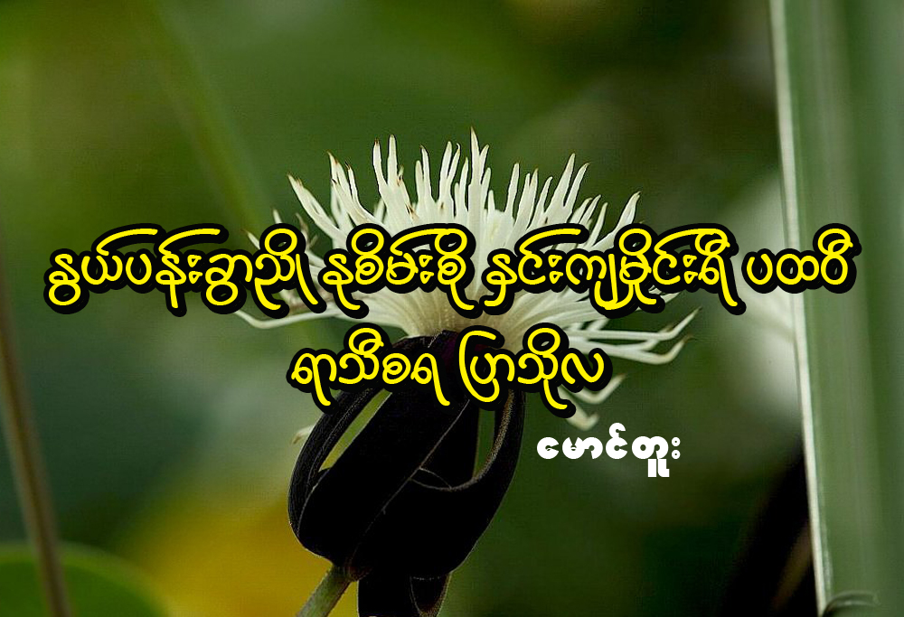 ႏြယ္ပန္းခြာညိဳ ႏုစိမ္းစို ႏွင္းက်မိႈင္းရီ ပထ၀ီ ရာသီစရ ျပာသိုလ