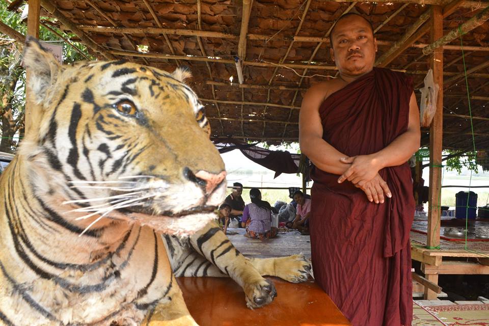 ေရလည္ကုန္းက က်ား႐ုပ္ထု (ဓာတ္ပံု)