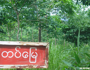 အစိုး​ရတပ္က မြန္​ေဒသခံပိုင္ ရာဘာျခံနွင့္​ ​ေျမကြက္မ်ား​ အဓမၼသိမ္း​ယူ